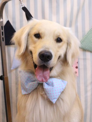 20250521レオくん